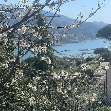 Casa Carmen Citra 010046-lt-2165 Apartamento *